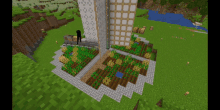 Modded Minecraft Minecraft GIF - Modded Minecraft Minecraft Wheat Farm GIFs