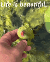 a hand is holding a green object with the words life is beautiful written on it