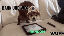 Ban Und Weg Dog GIF