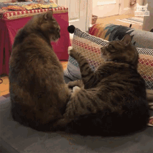 Fight Siblings GIF - Fight Siblings Leave Me Alone GIFs