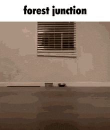 Forest Junction Wisconsin GIF