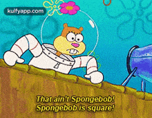That Ain'T Spongebob!Spongebob Is Square!.Gif GIF - That Ain'T Spongebob!Spongebob Is Square! Indoors Text GIFs