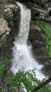 a waterfall is surrounded by trees and rocks and leaves