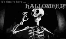 Its Finally Here Skeleton GIF - Its Finally Here Skeleton Halloween GIFs