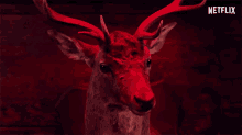 Deer Head A Classic Horror Story GIF - Deer Head A Classic Horror Story Mounted Deer Head GIFs