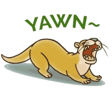 otter yawn stretch stretching