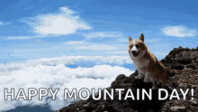 dogs aww cute corgi happy mountain day