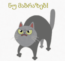 ბრაზიანი კატა GIF - ბრაზიანი კატა ნინისჯგუფი GIFs