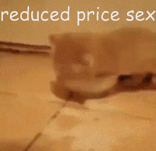 Reduced Price GIF - Reduced Price Sex GIFs