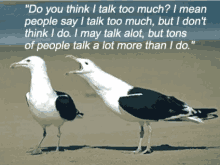 Meeting Talk Too Much GIF - Meeting Talk Too Much Talk To Much GIFs