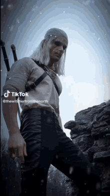 a man in a witcher costume stands in front of a stone wall with tiktok written on the bottom right