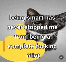 a black and white cat with the words being smart has never stopped me from being a complete fucking idiot below it