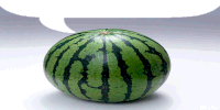 Watermelon Sticker - Watermelon Melon Stickers
