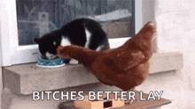 Cat Slap GIF - Cat Slap Chicken GIFs
