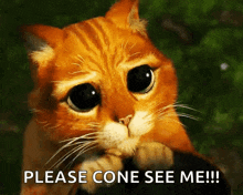 a cat with a sad look on its face and the words please cone see me below it
