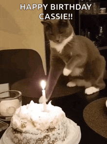 Put Out The Candle Put It Out GIF