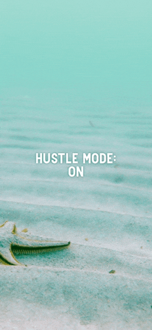 Hustle GIF - Hustle GIFs