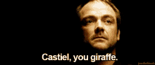 Crowley Castiel GIF - Crowley Castiel You Giraffe GIFs