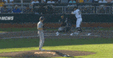 Lsu GIF