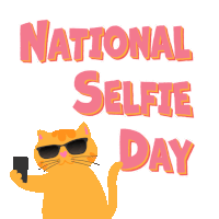 a cat is taking a selfie on national selfie day