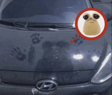 a close up of a hyundai car with a sticker of a sloth on it