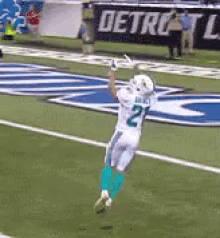Dolphins GIF - Dolphins Miami Dolphins Brent Grimes GIFs