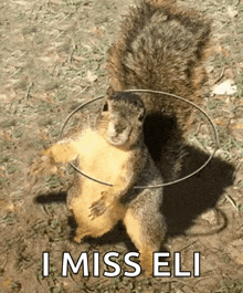 a squirrel with a hula hoop around its neck and the words i miss eli on the bottom