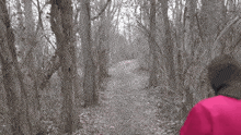 a person in a red jacket is standing in the woods with a green spider coming out of the ground .