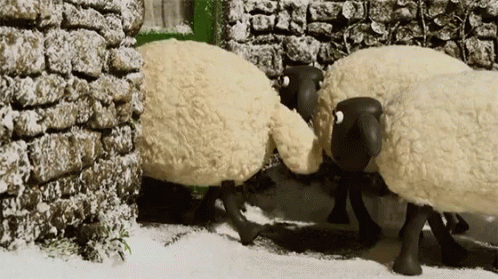 Walk Going Inside GIF - Walk Going Inside Flock GIFs