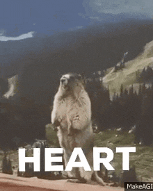 Heart Beaver Heart Gif GIF - Heart Beaver Heart Gif Heart GIFs