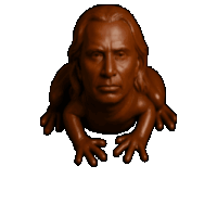 a brown frog with a man 's face on its back