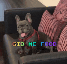 Give Me Food Feed Me GIF - Give Me Food Feed Me Hungry GIFs
