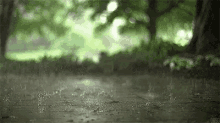 Rain Raindrop GIF