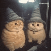 two cats wearing witch hats looking at each other