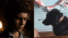 a man and a dog are sitting next to each other on a table in a dark room .