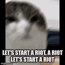 Lets Start A Riot GIF - Lets Start A Riot GIFs