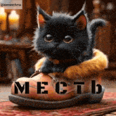 a black kitten is sitting on a brown boot with the word mectb written on it