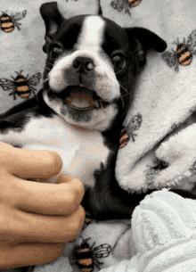 Puppy Dog GIF - Puppy Dog Doggo GIFs