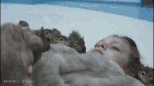 A Bad Nut GIF - Charlieandthechocolatefactory Timburton Squirrels GIFs