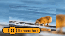 omnia omnia gifs factsverse factsverse gifs frozen fox