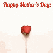 a heart made out of rose petals with the words `` happy mother 's day ''
