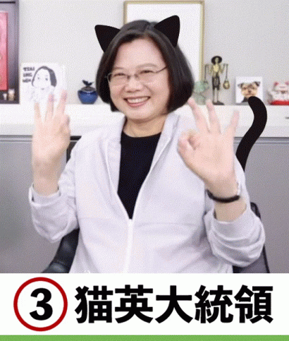 Thumbs Up Approved GIF - Thumbs Up Approved Tsai Ingwen - Discover & Share  GIFs