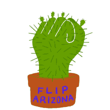flip flip the senate senate congress arizona