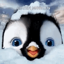 cute animated penguin