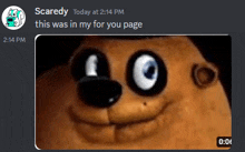 a screenshot of a discord conversation between scaredy and a teddy bear