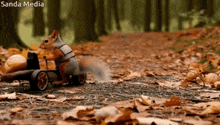 a squirrel wearing a harness is pulling a wagon with nuts in it ..