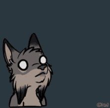 annoying funny wolf looks possessed