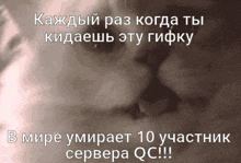 кот кричит Qc - Quartz Community GIF - кот кричит Qc - Quartz Community в мире умирает GIFs