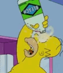Homer Simpsons GIF - Homer Simpsons GIFs