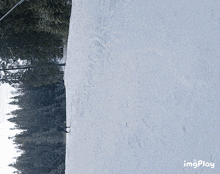 a person skiing down a snow covered slope with trees in the background and the word imgplay at the bottom